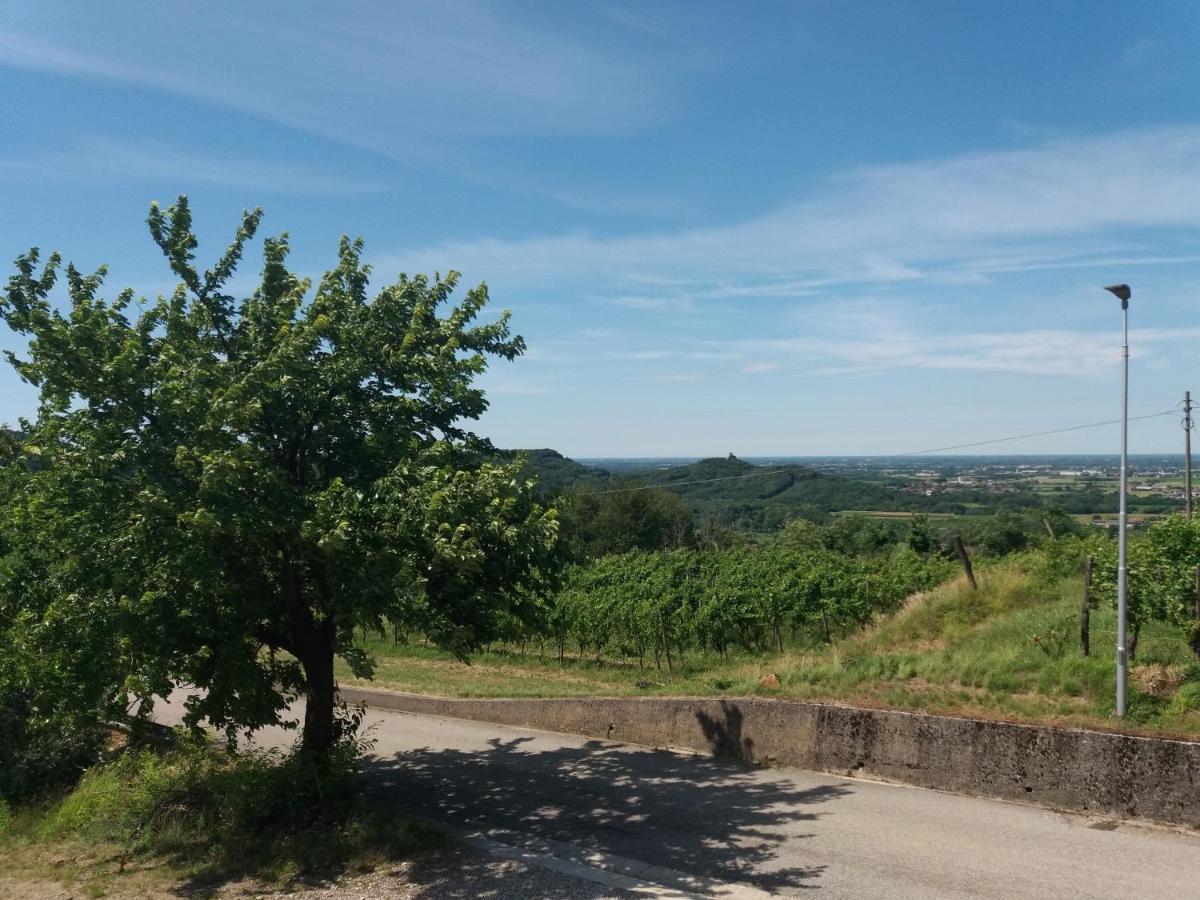 Agriturismo Casa Delle Rose Winery Ruttàrs Екстериор снимка