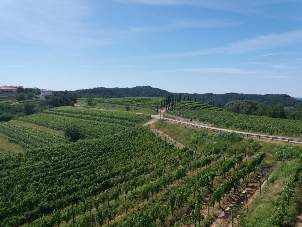 Agriturismo Casa Delle Rose Winery Ruttàrs Екстериор снимка