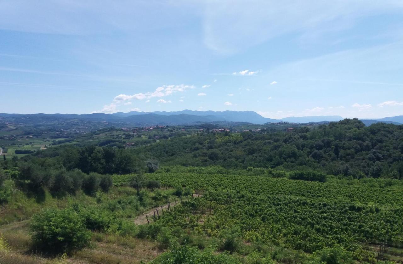 Agriturismo Casa Delle Rose Winery Ruttàrs Екстериор снимка