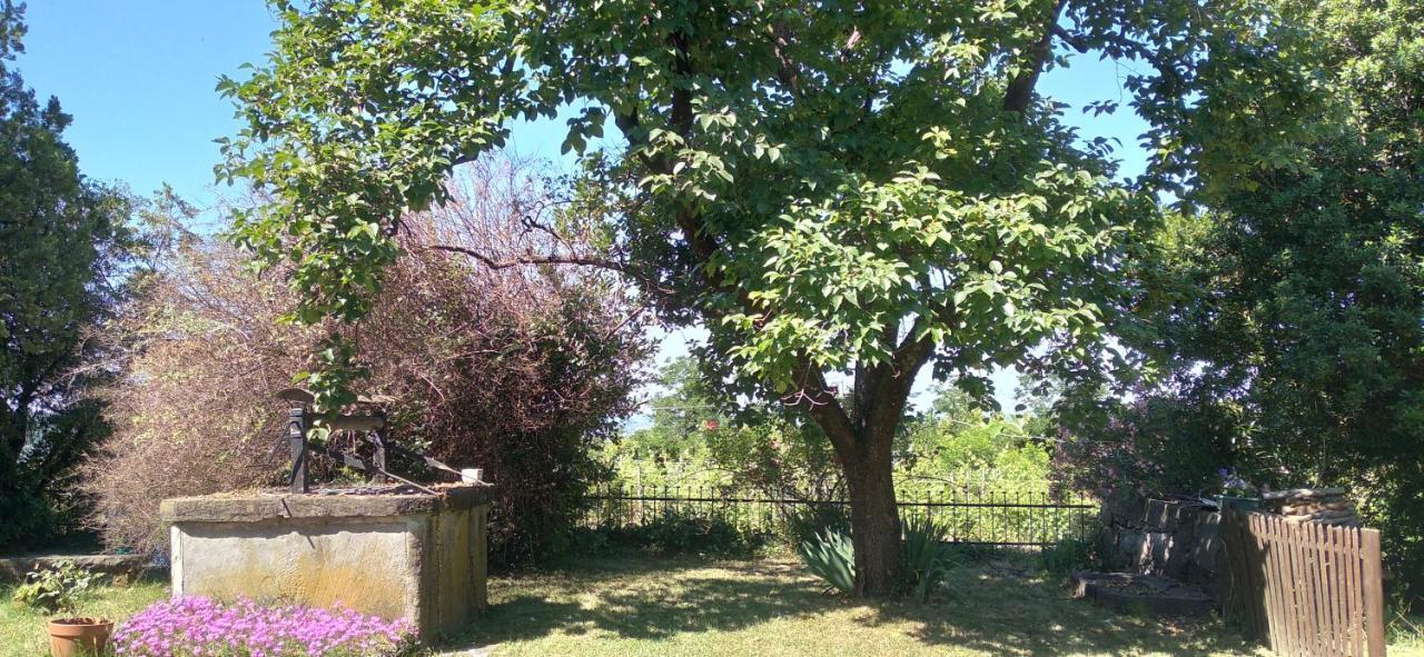 Agriturismo Casa Delle Rose Winery Ruttàrs Екстериор снимка