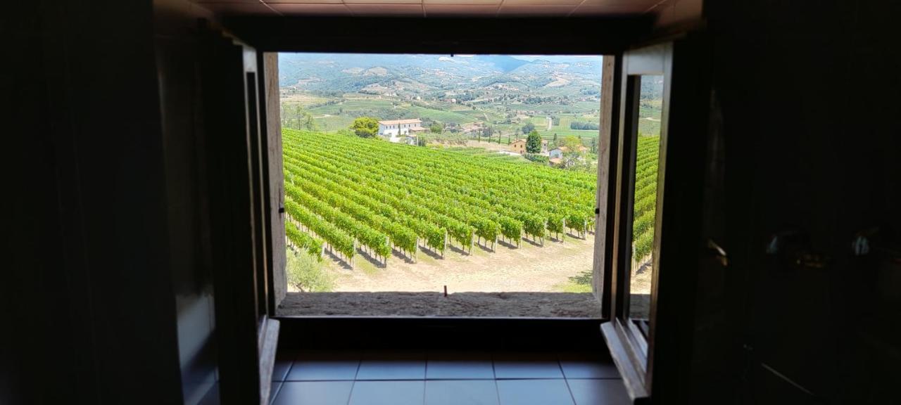 Agriturismo Casa Delle Rose Winery Ruttàrs Екстериор снимка