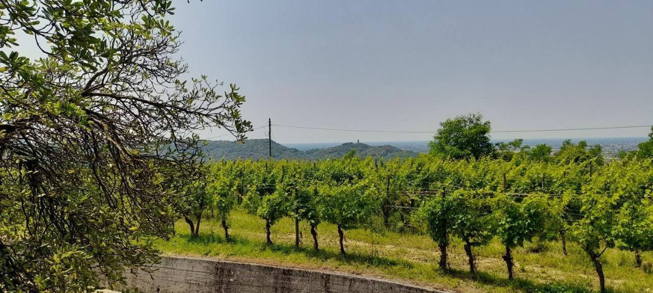 Agriturismo Casa Delle Rose Winery Ruttàrs Екстериор снимка