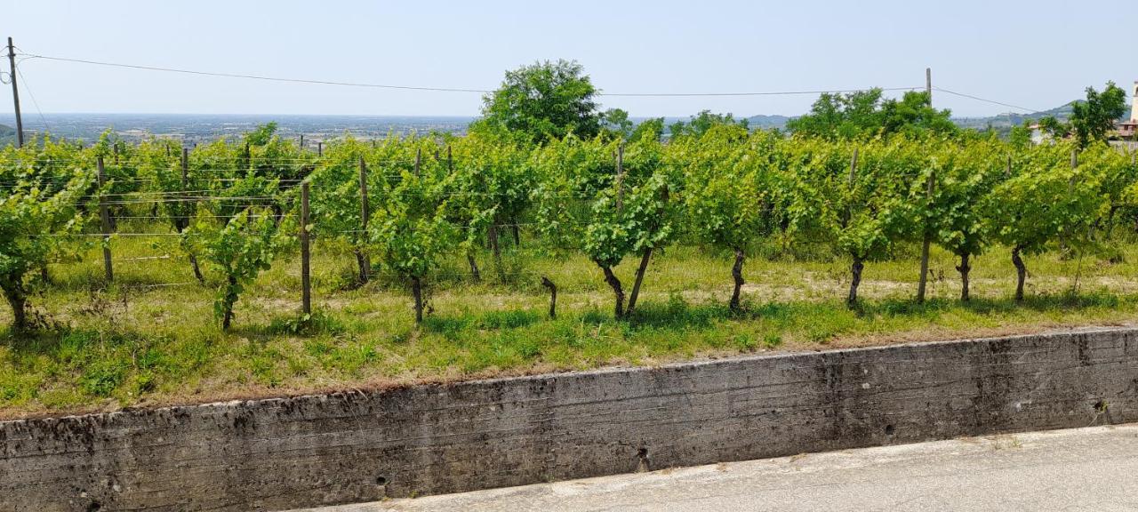 Agriturismo Casa Delle Rose Winery Ruttàrs Екстериор снимка