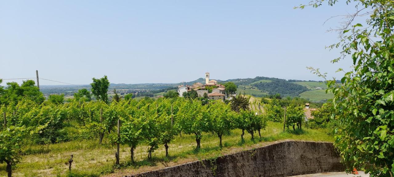 Agriturismo Casa Delle Rose Winery Ruttàrs Екстериор снимка