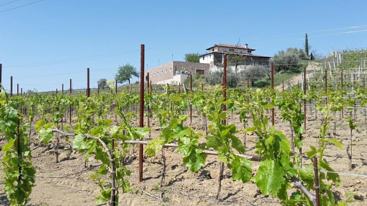 Agriturismo Casa Delle Rose Winery Ruttàrs Екстериор снимка