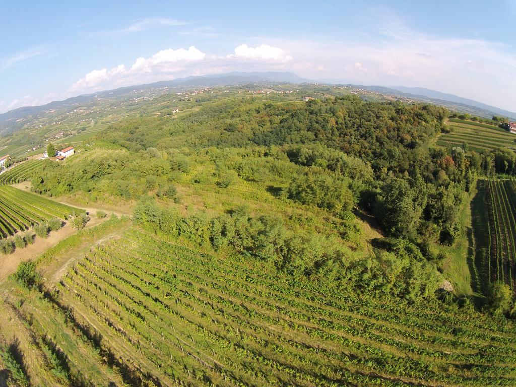 Agriturismo Casa Delle Rose Winery Ruttàrs Екстериор снимка