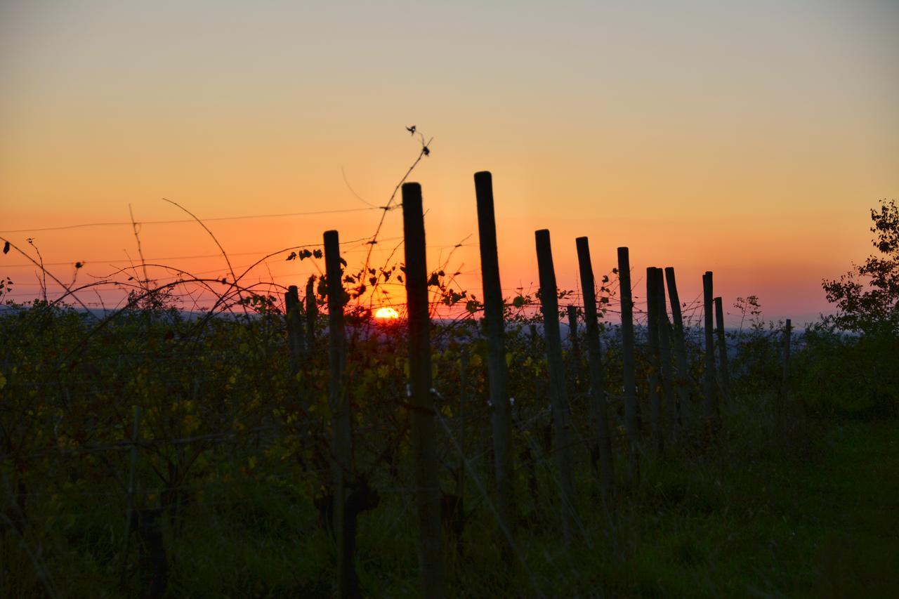 Agriturismo Casa Delle Rose Winery Ruttàrs Екстериор снимка