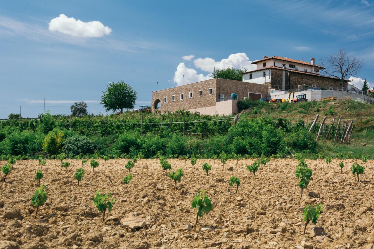 Agriturismo Casa Delle Rose Winery Ruttàrs Екстериор снимка