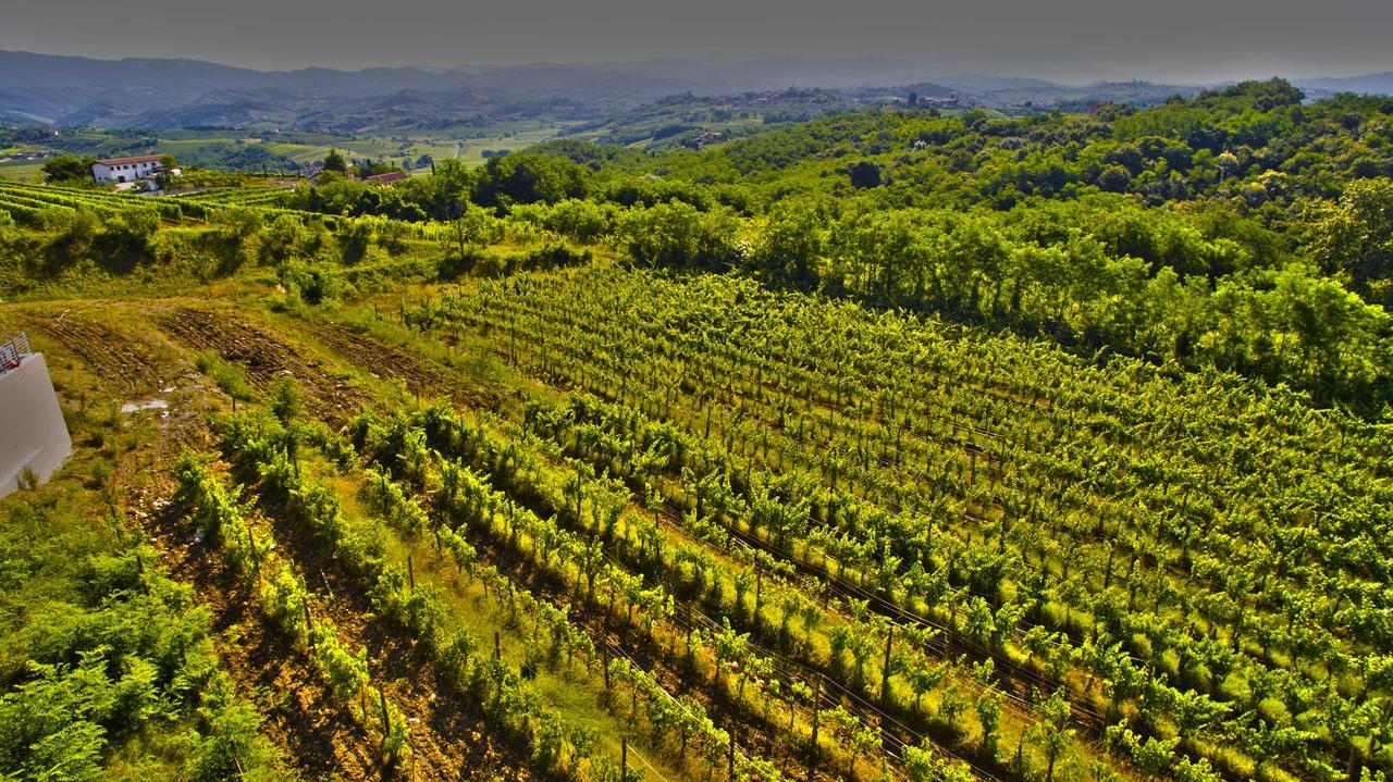 Agriturismo Casa Delle Rose Winery Ruttàrs Екстериор снимка