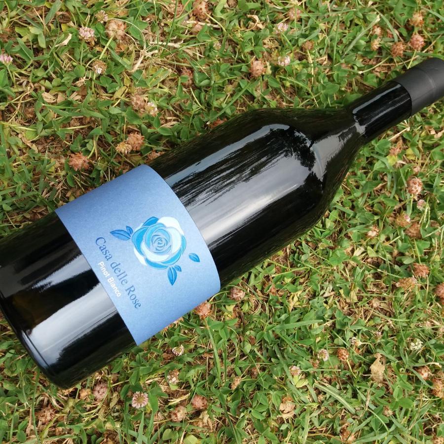 Agriturismo Casa Delle Rose Winery Ruttàrs Екстериор снимка